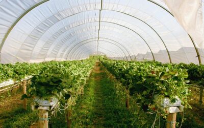 Enquête agriculture et travail saisonnier